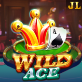 365 casino Wild Ace slot